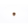 WINCENT HICKORY 5AXL (Standard)