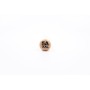 WINCENT HICKORY 5AXXL (Standard)