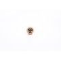 WINCENT HICKORY 5BXL (Standard)