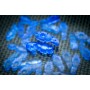 Tuner Fish Lug Locks Blue 8 Pack